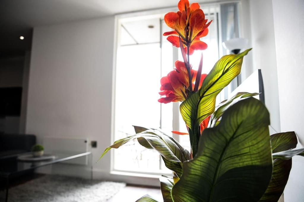 Modern 2 Bedroom Apartment - City Centre - Parking Manchester Zewnętrze zdjęcie